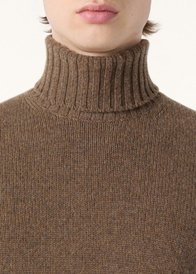 Parksville Rollkragenpullover