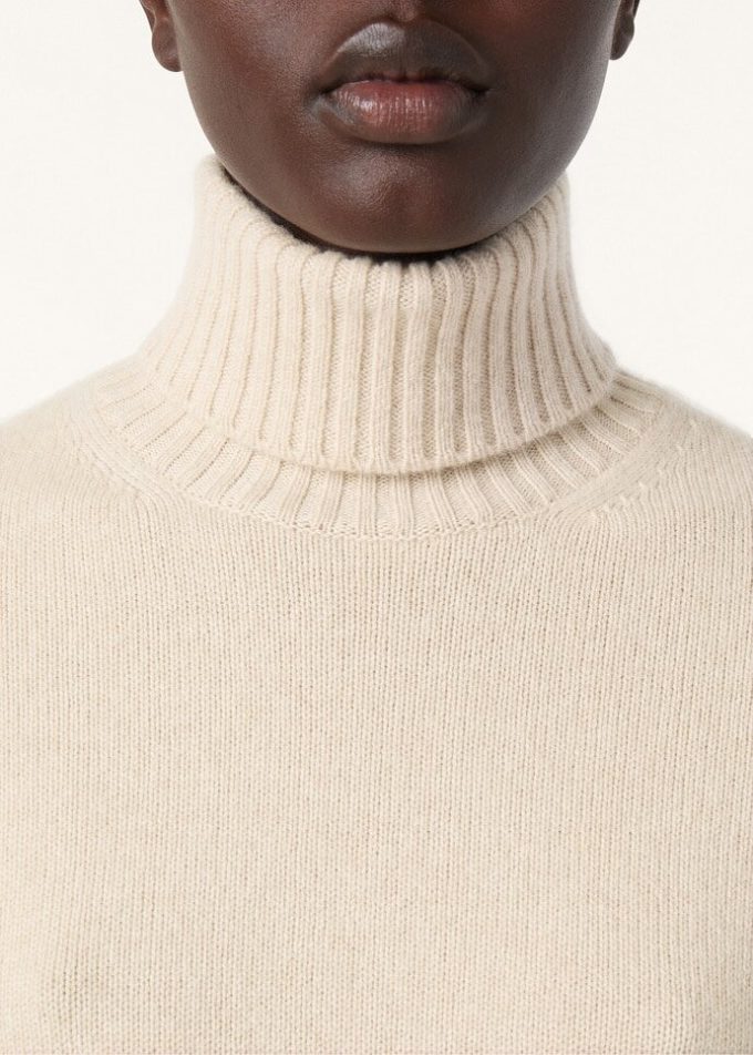 Parksville Rollkragenpullover