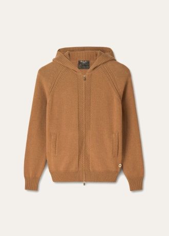Vicuña Bomber